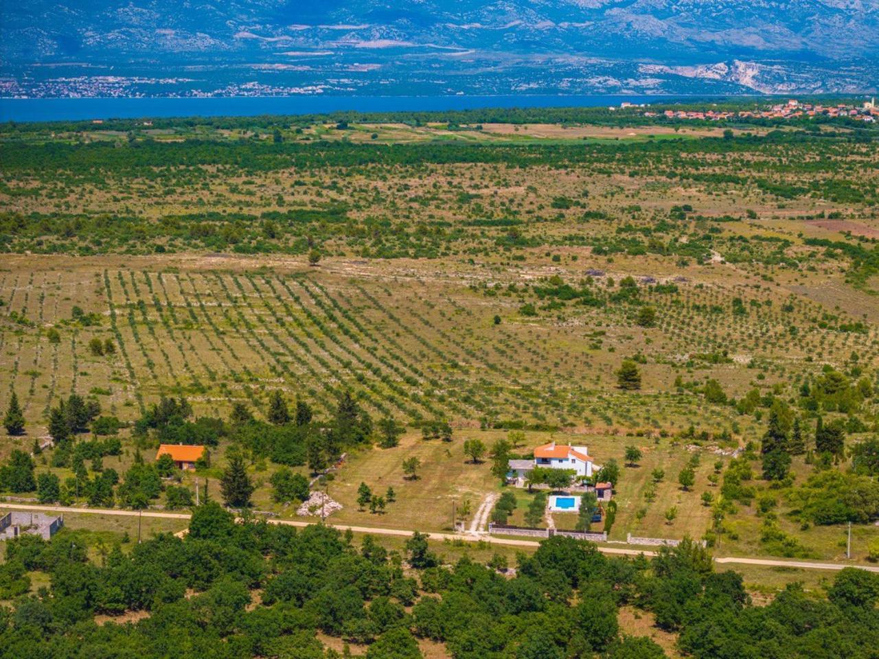 Villa Mandorla With Private Pool Zadar Dış mekan fotoğraf